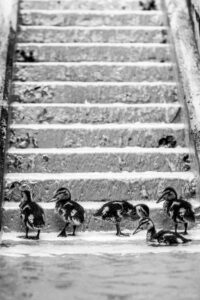 Samen werken aan haalbare doelen en groe