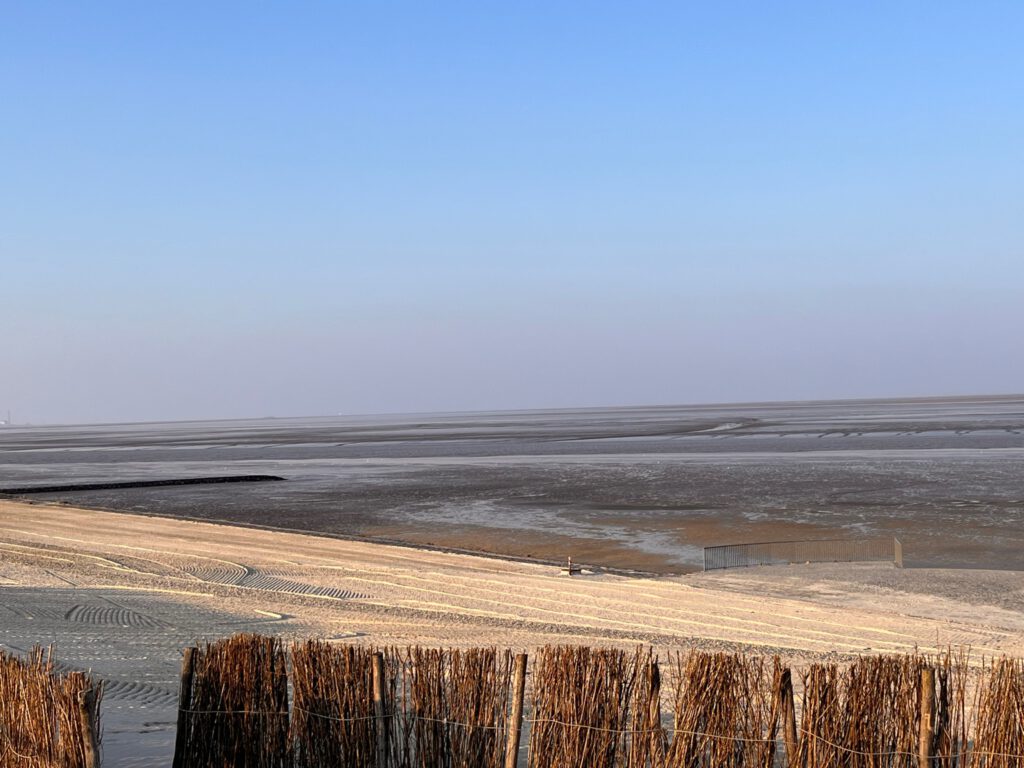 Rustige natuur bij Delfzijl waar jongeren tot zichzelf kunnen komen