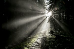 Op weg naar betekenis, richting en herstel