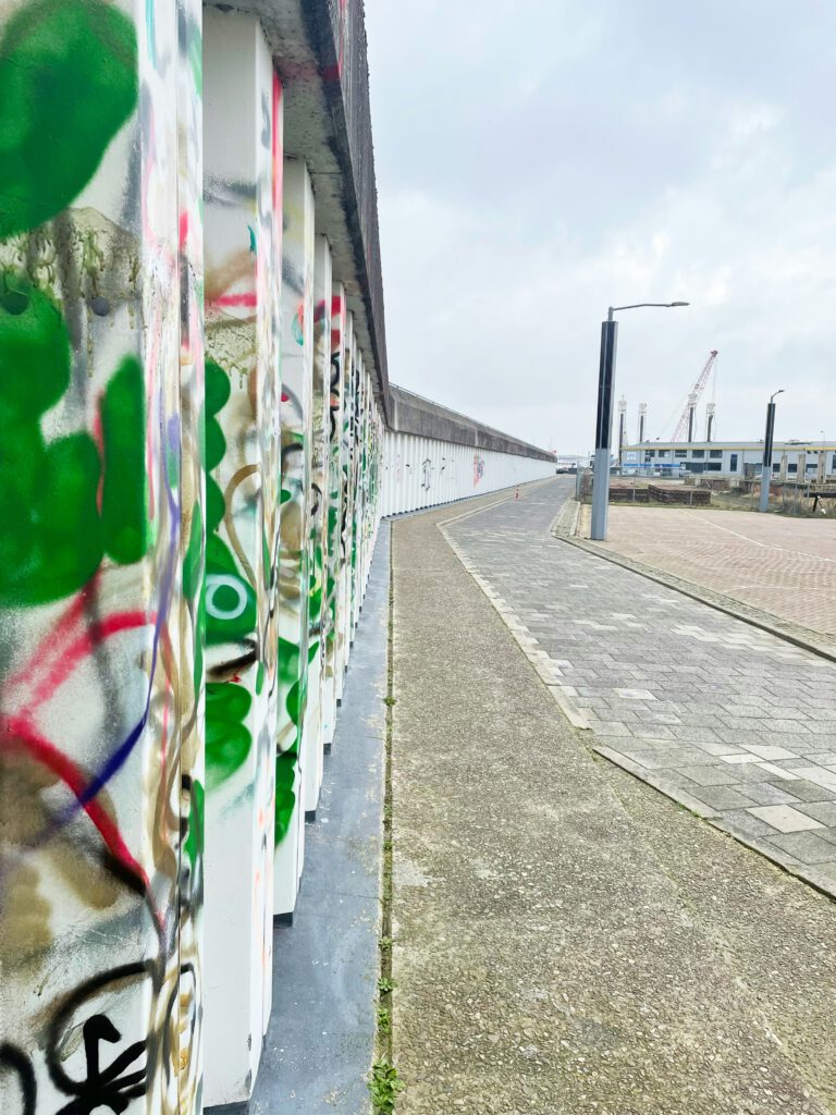 etrokken begeleiding vanuit ervaring – bouwen aan veerkracht voor jongeren in Noord-Nederland