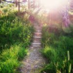 Jongere vindt kracht om door te zetten – mentale gezondheid en veerkracht